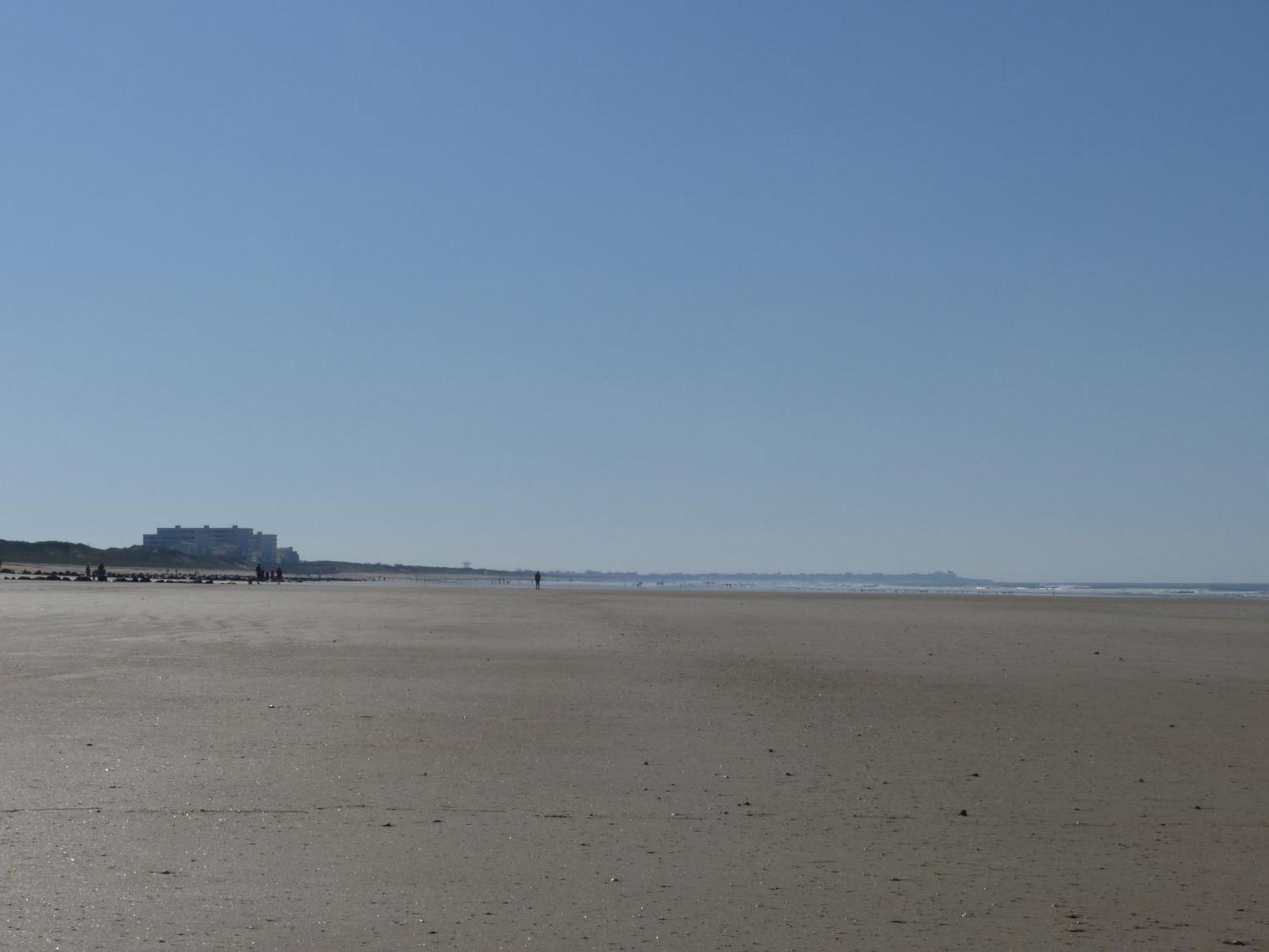 Le Petit Large T2 - Vue Sur Mer 圣伊莱尔·德列 外观 照片
